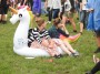 Thumbs/tn_Zwarte cross 2017 002.jpg